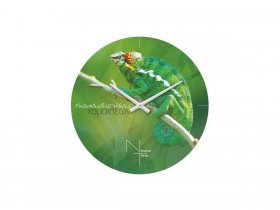 Часы настенные Nicole Time NT503 в Каменке - kamenka.mebel-nsk.ru | фото