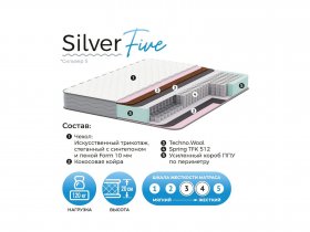 Матрас Silver Five в Каменке - kamenka.mebel-nsk.ru | фото