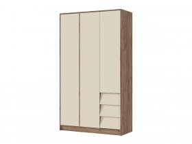 Шкаф трехдверный ШК-02 Рейн в Каменке - kamenka.mebel-nsk.ru | фото